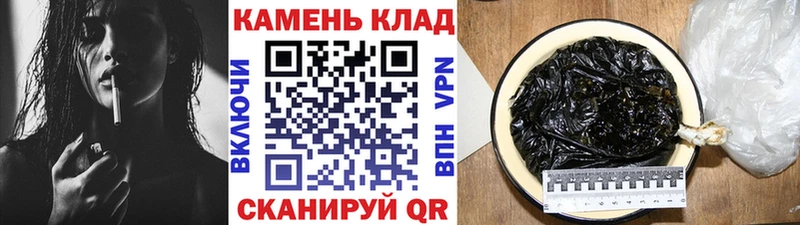 где найти   Лагань  Гашиш Cannabis 
