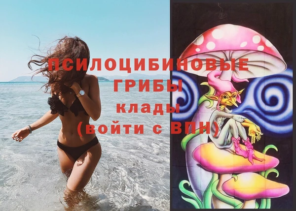 спиды Алзамай