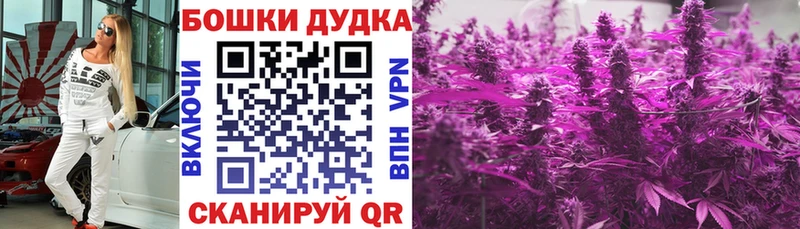 shop Telegram Лагань Марихуана OG Kush